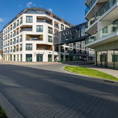 Blue Seashell Bel Mare Near The By Renters